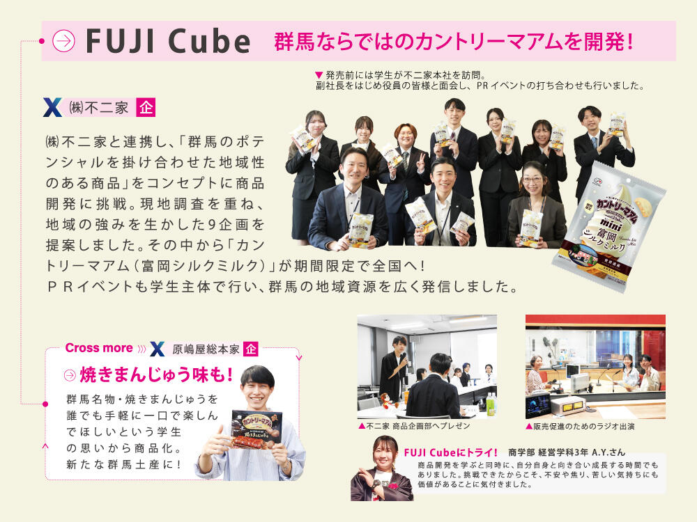 Fuji-Cube